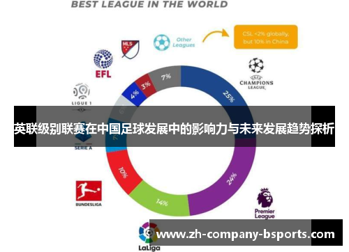 英联级别联赛在中国足球发展中的影响力与未来发展趋势探析