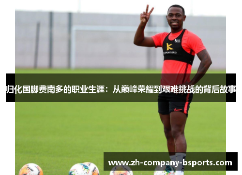 归化国脚费南多的职业生涯：从巅峰荣耀到艰难挑战的背后故事