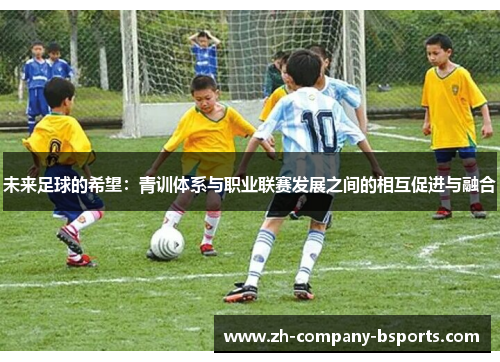 未来足球的希望:青训体系与职业联赛发展之间的相互促进与融合 未来足球的希望:青训体系与职业联赛发展之间的相互促进与融合