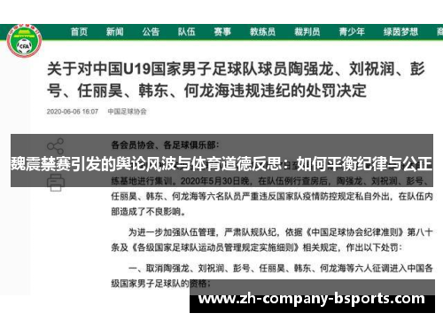 魏震禁赛引发的舆论风波与体育道德反思：如何平衡纪律与公正