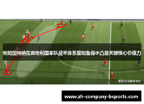 鲍姆加特纳在奥地利国家队战术体系里如鱼得水凸显关键核心价值力 鲍姆加特纳在奥地利国家队战术体系里如鱼得水凸显关键核心价值力